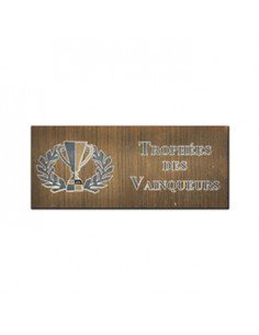 Gravure Sur Plaque Fond Or 60x20mm