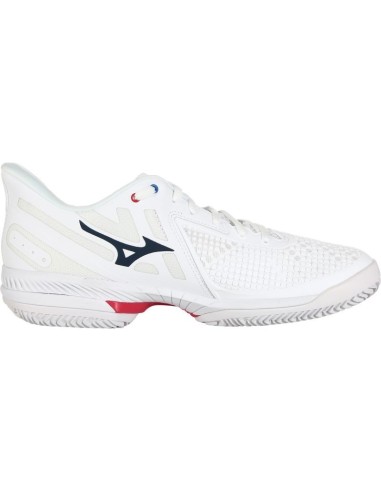 Tennisschuhe Mizuno Herren Wave Exceed Tour All Court 