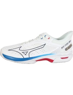Tennisschuhe Mizuno Herren Wave Exceed Tour All Court 
