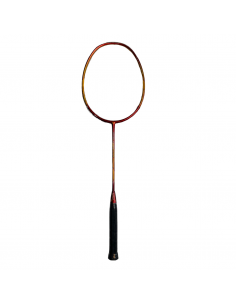 Whizz Y56 Badminton Racket
