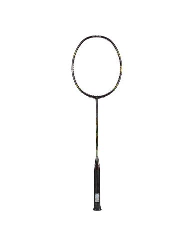 Raquette de Badminton Duplex Power 55