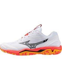 Mizuno Men's Wave Exceed Tour All Court Tennis Shoes 