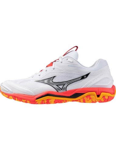 Mizuno Men's Wave Exceed Tour All Court Tennis Shoes 