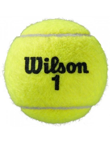 Bipack De 4 Balles Wilson Roland Garros All Court  Bipack De 4 Balles Wilson Roland Garros All Court