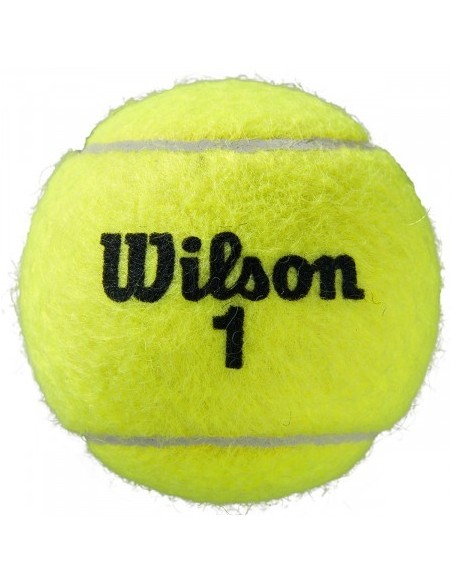 Bipack de 4 Balles Wilson Roland Garros All Court 
